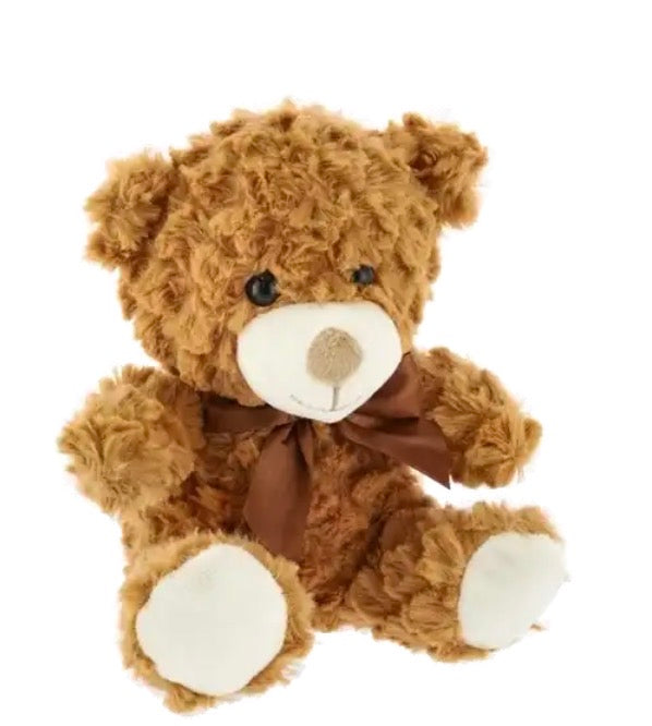 Hearts Teddy Bear Gift Set