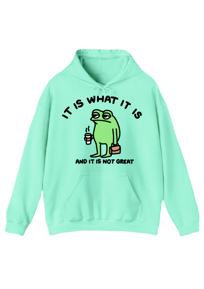 Grumpy Frog Aqua Hoodie